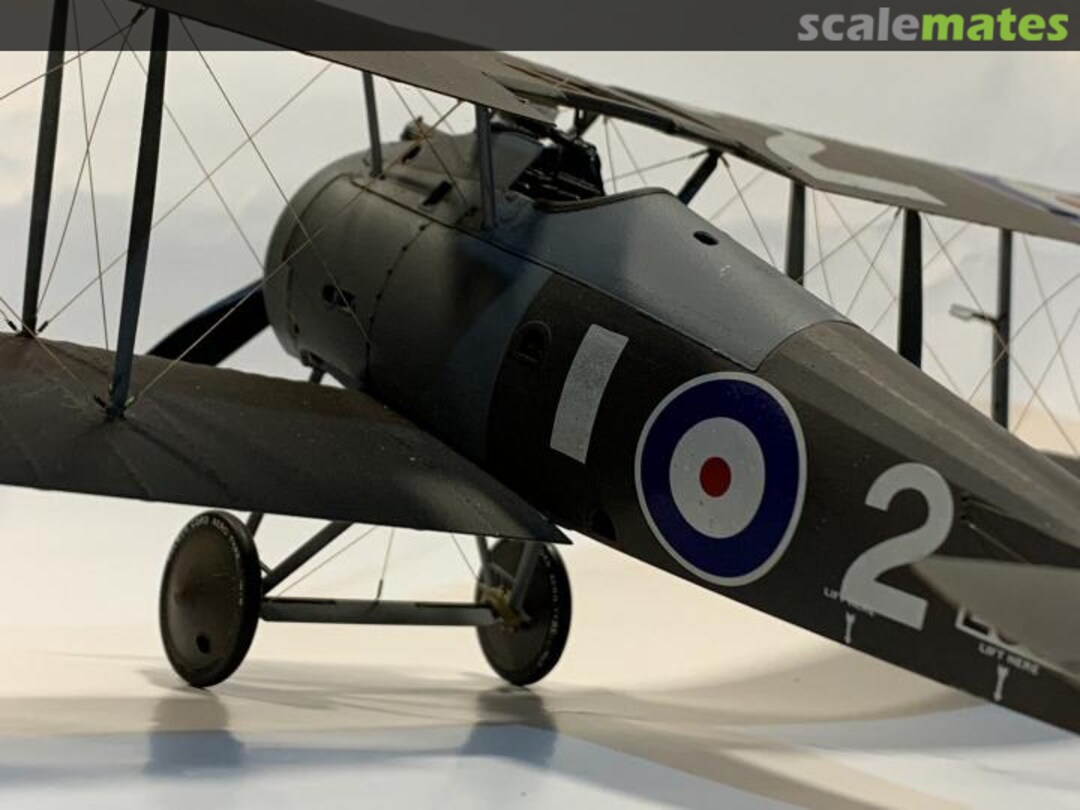 View album, image #23