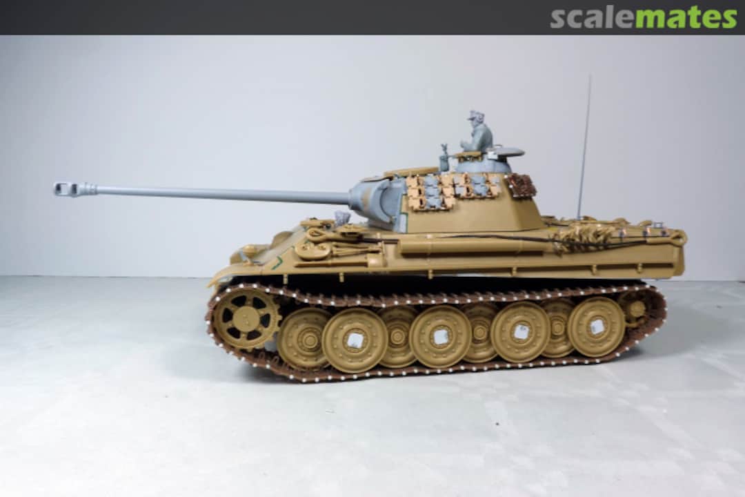 View album, image #1 View album, image #1