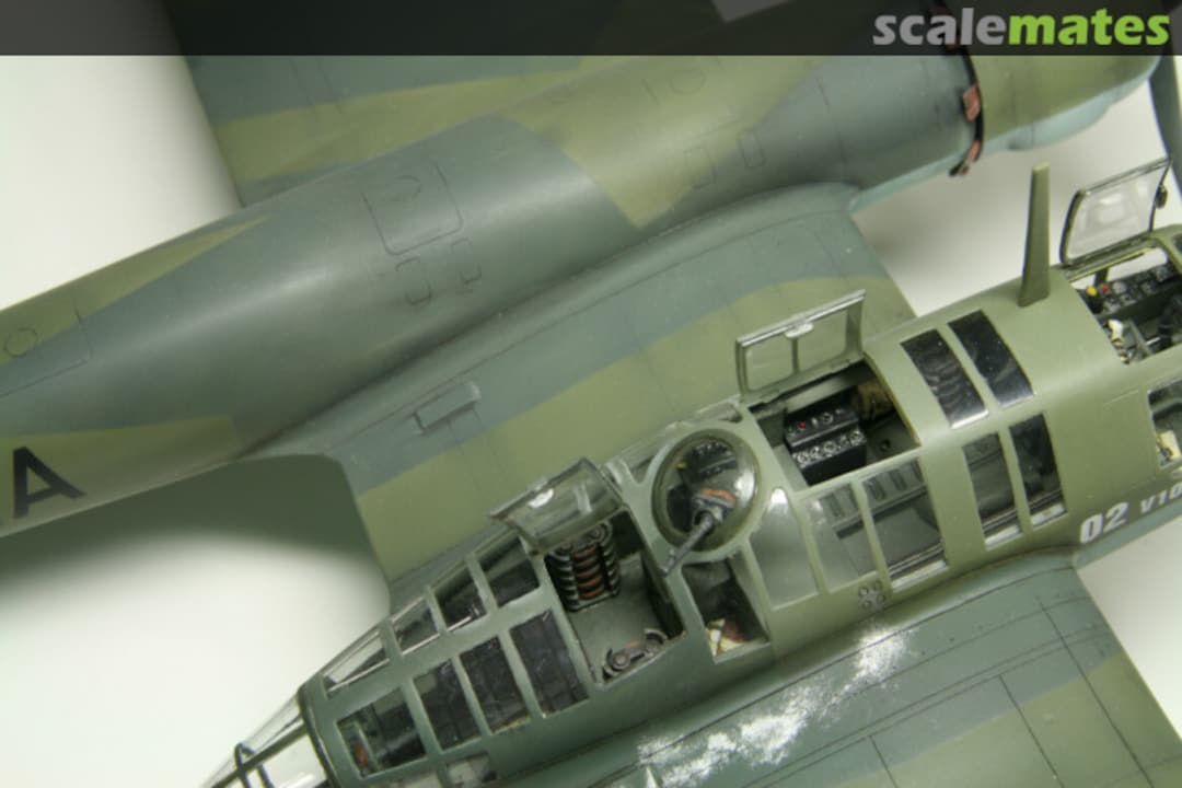 View album, image #1 View album, image #1