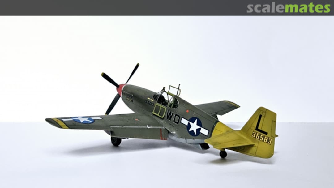 View album, image #8 View album, image #8