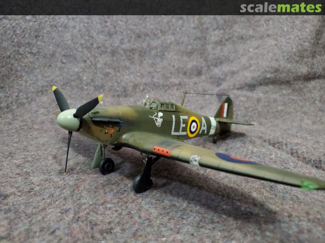 View album, image #3 View album, image #3