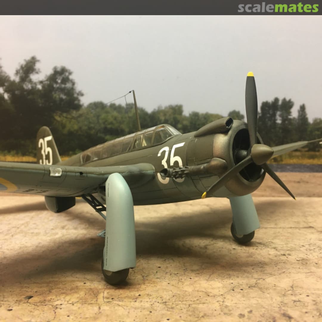 View album, image #1 View album, image #1