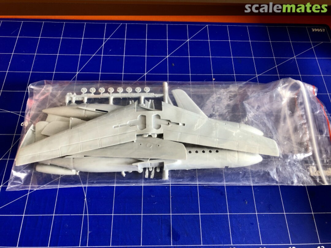 View album, image #1 View album, image #1