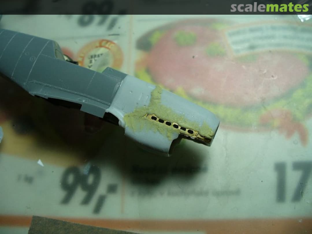 View album, image #1 View album, image #1