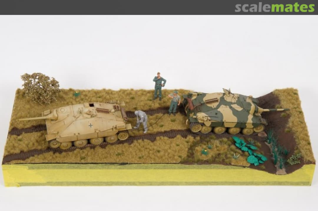 View album, image #5 View album, image #5