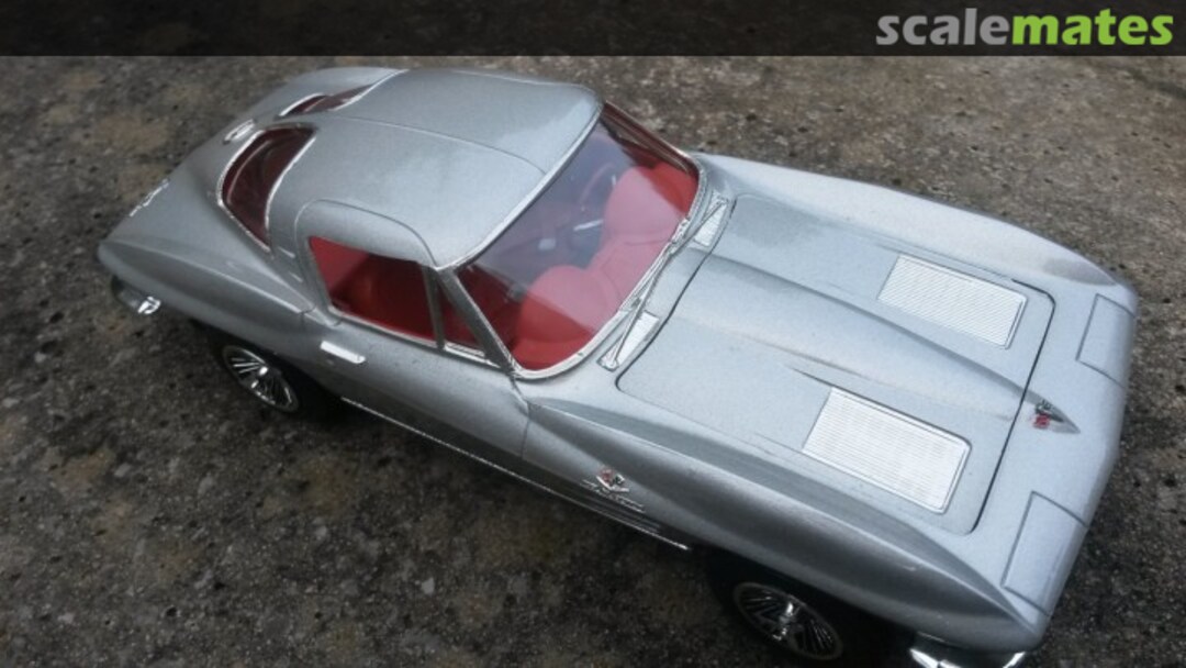 View album, image #1 View album, image #1