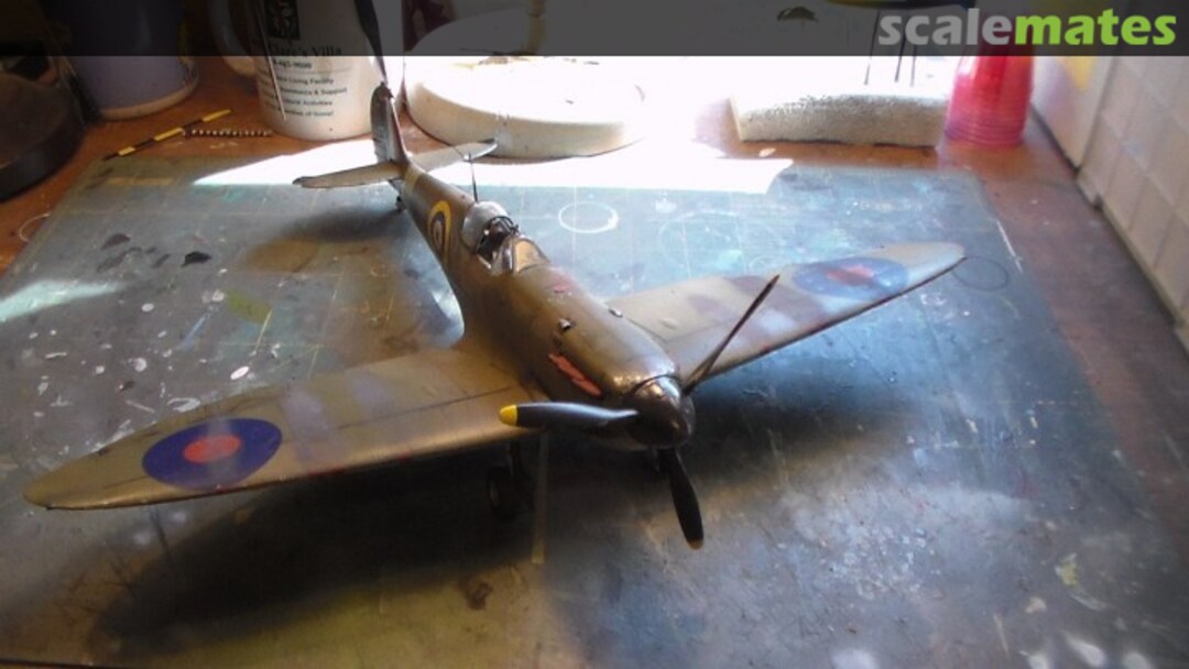 View album, image #1