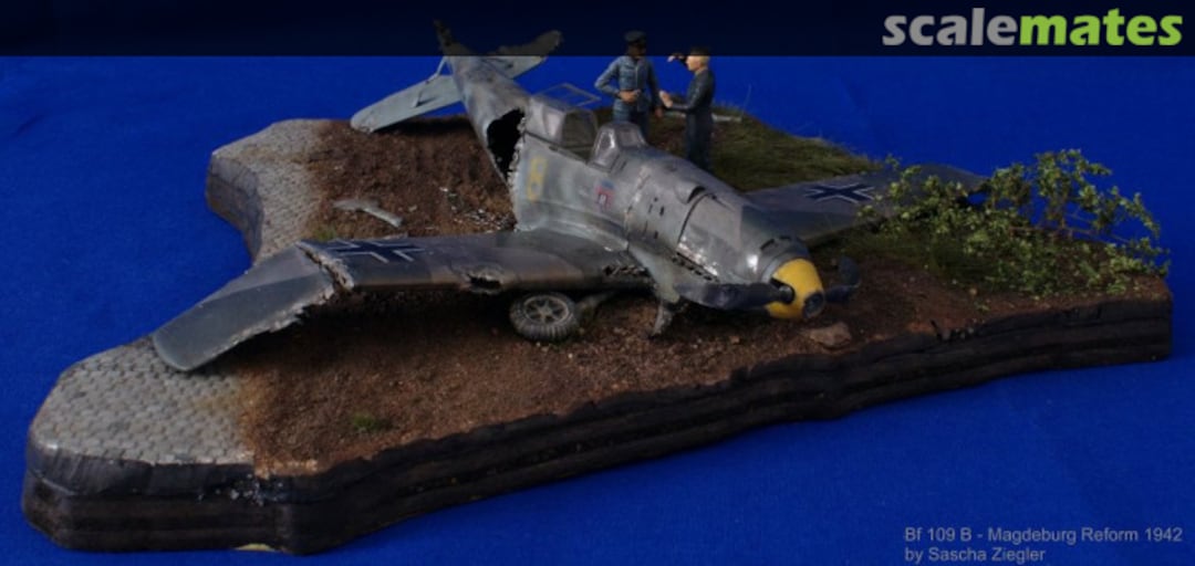 View album, image #1 View album, image #1