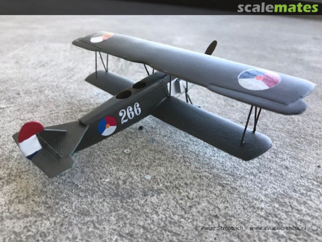 View album, image #1