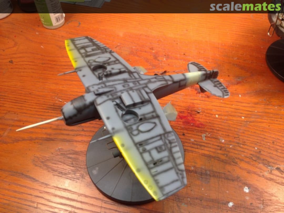 View album, image #1 View album, image #1