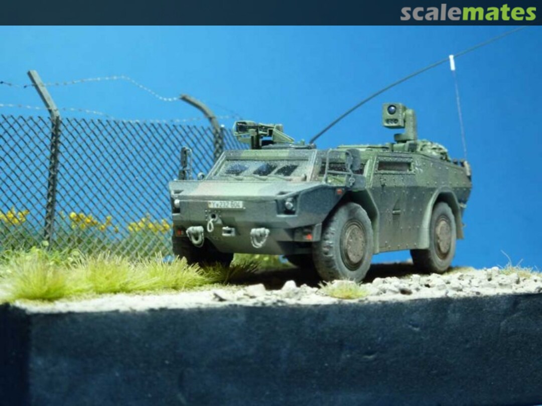 View album, image #1 View album, image #1