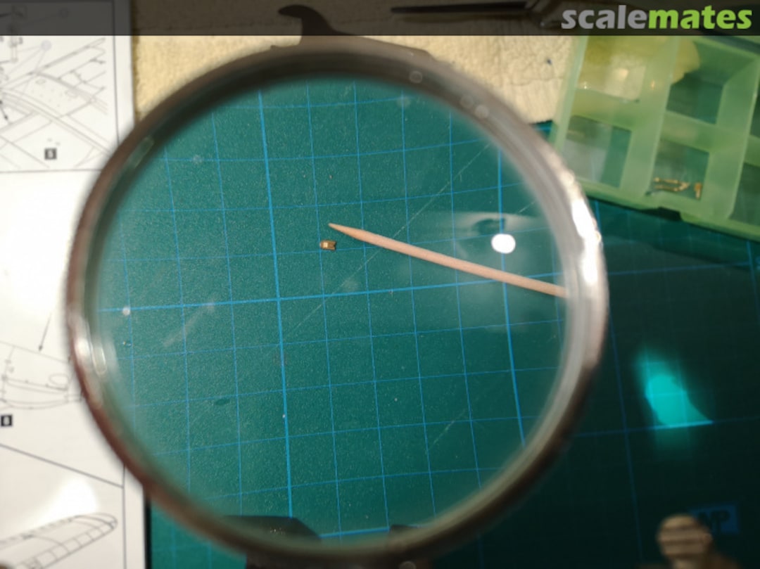 View album, image #1