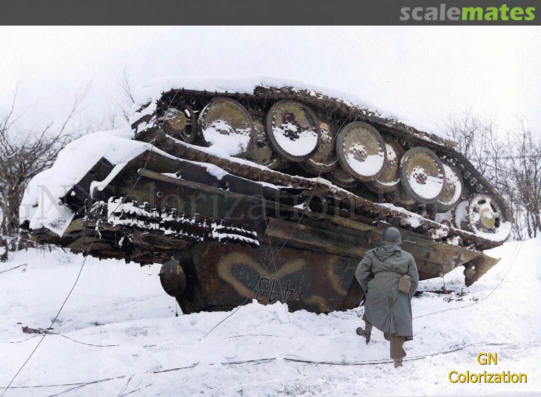 View album, image #1 View album, image #1