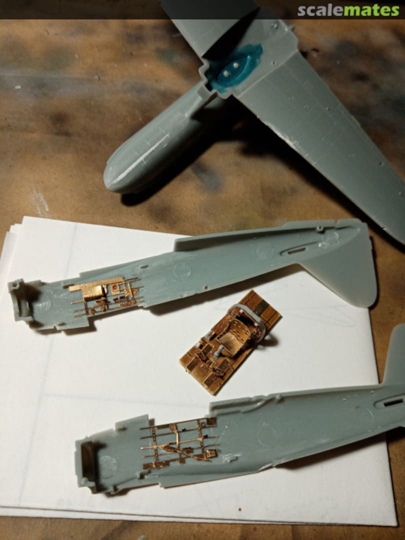 View album, image #1