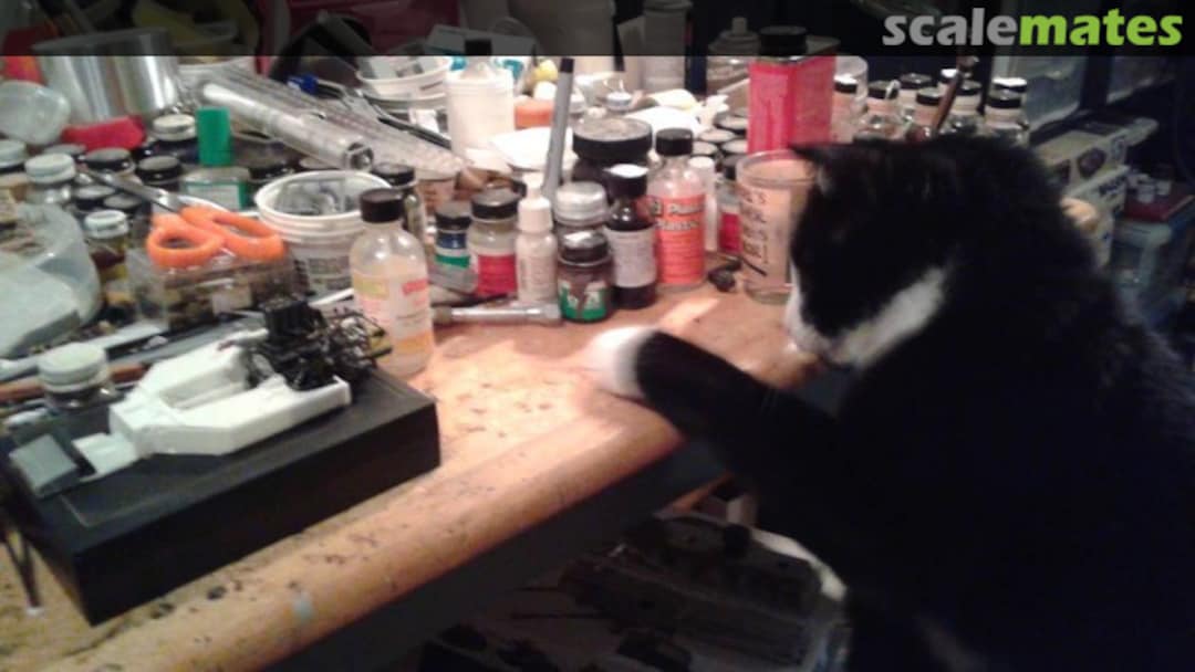 View album, image #1 View album, image #1