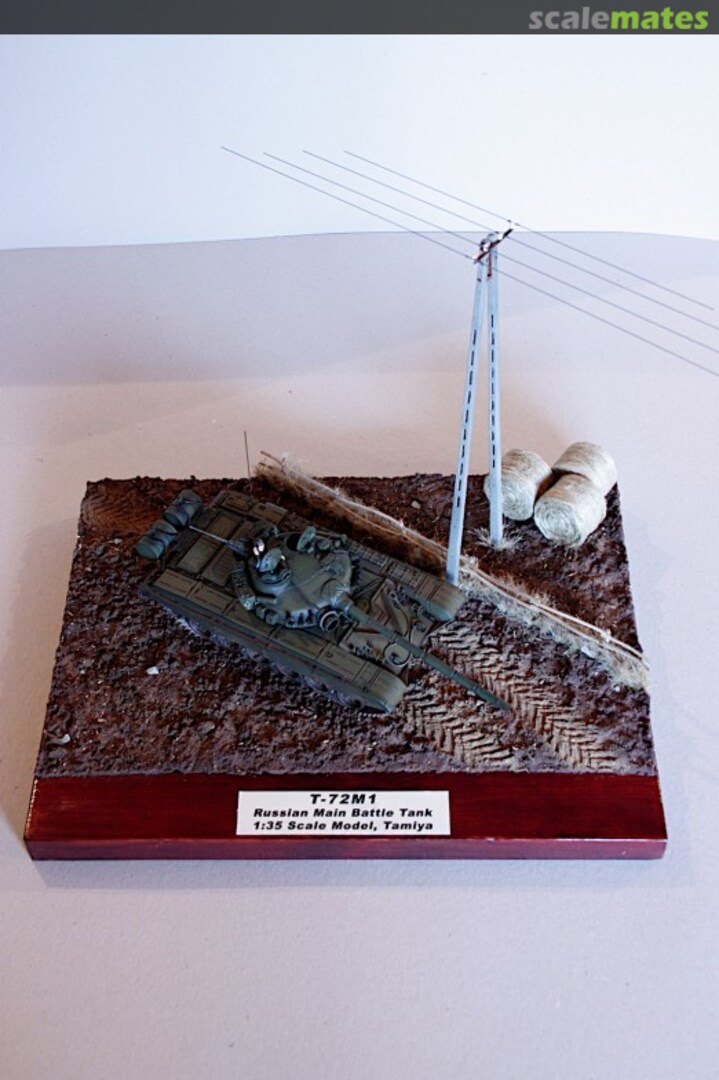 View album, image #1