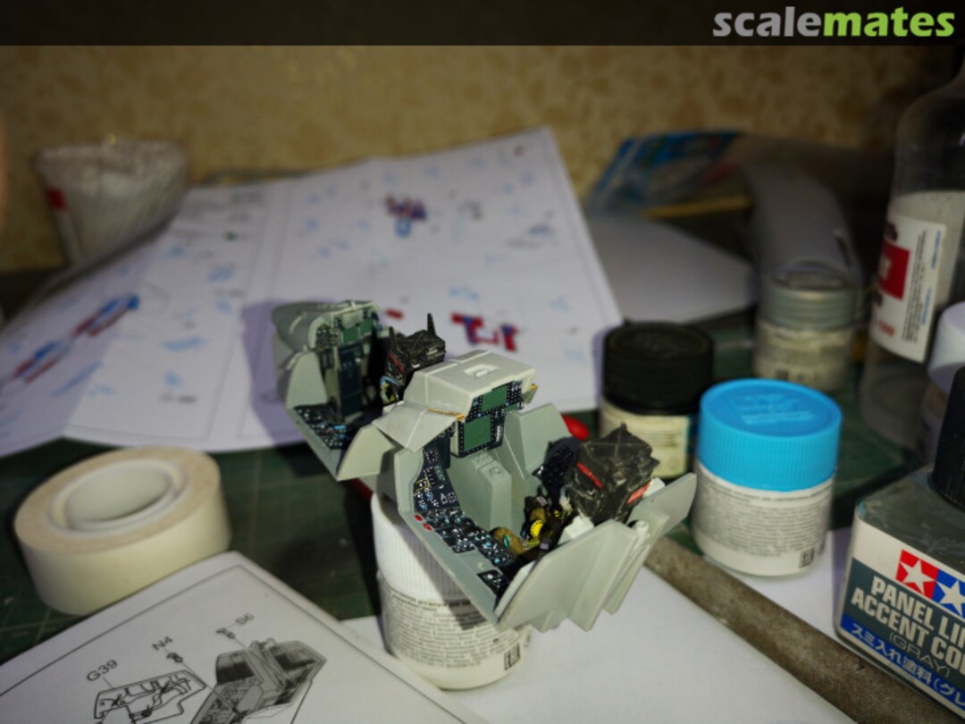 View album, image #1 View album, image #1