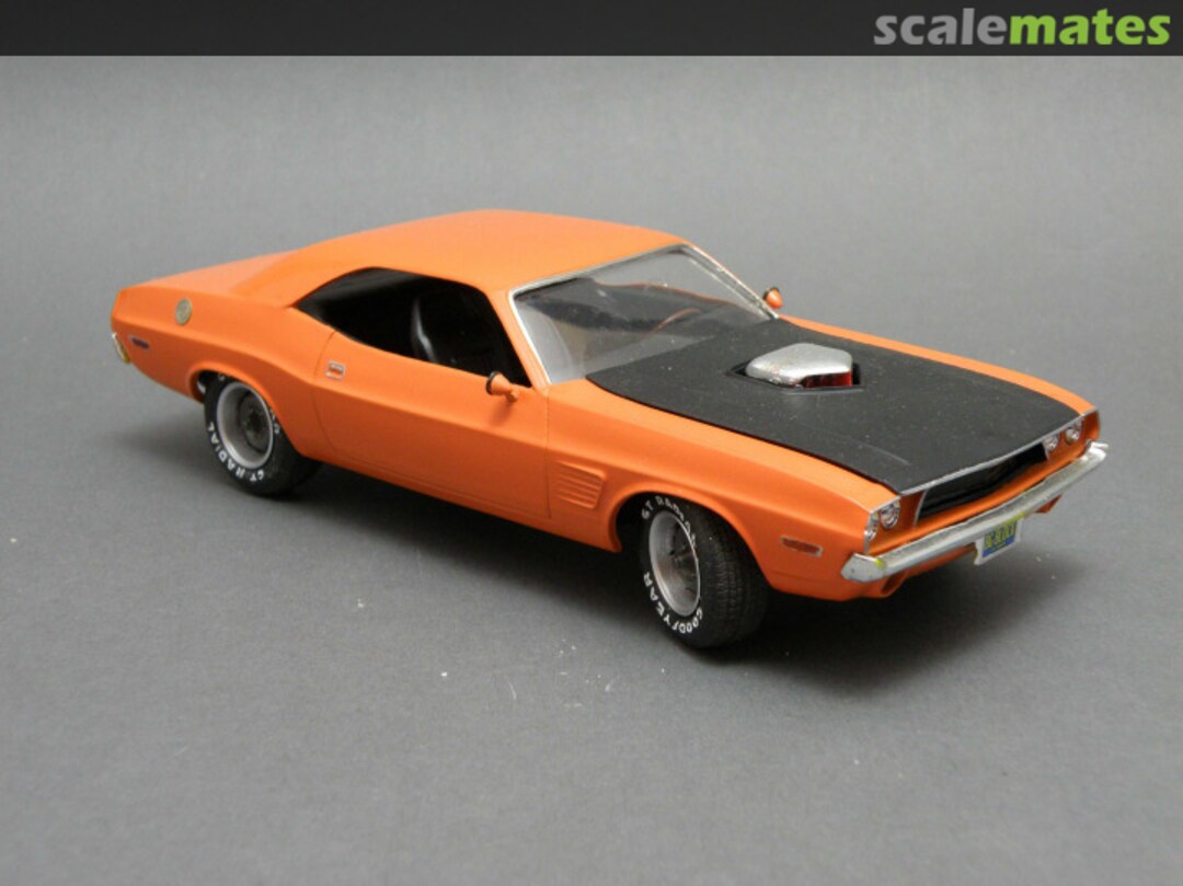 View album, image #1