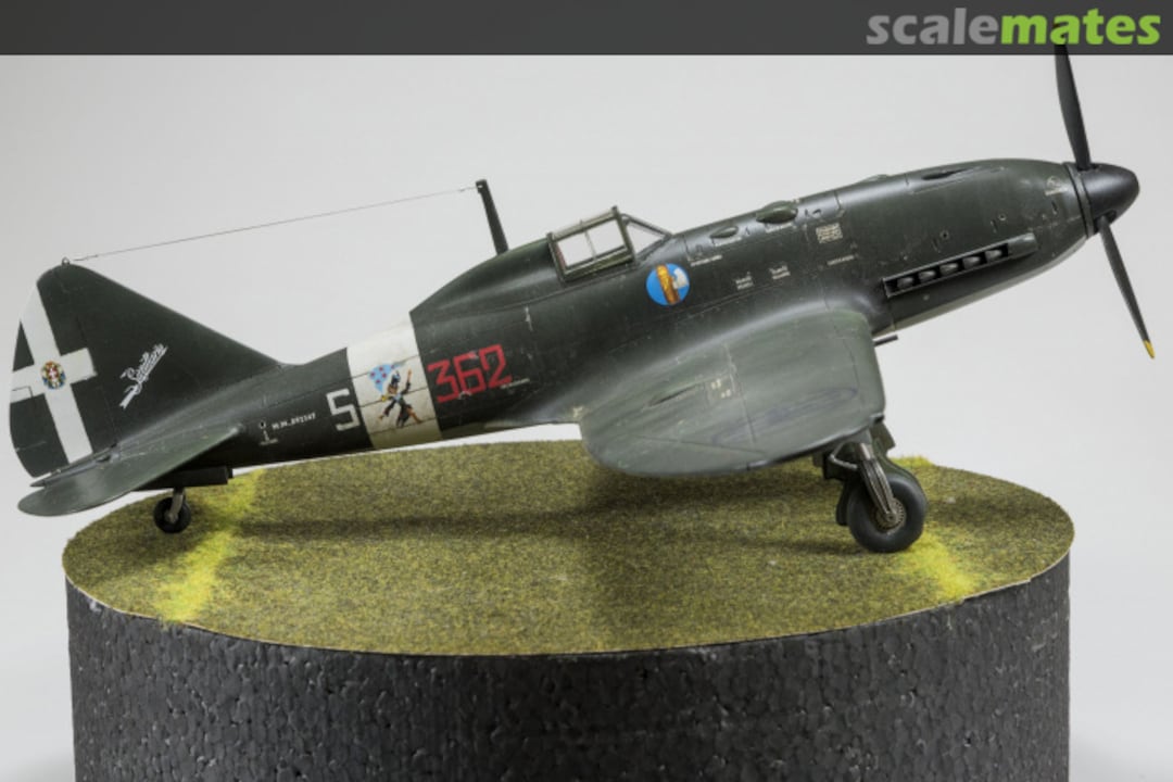 View album, image #12 View album, image #12