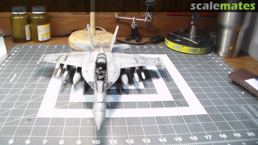 View album, image #1