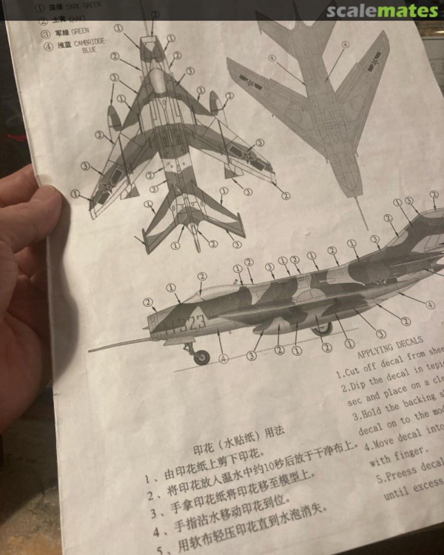 View album, image #1 View album, image #1