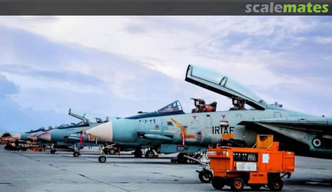 View album, image #1 View album, image #1