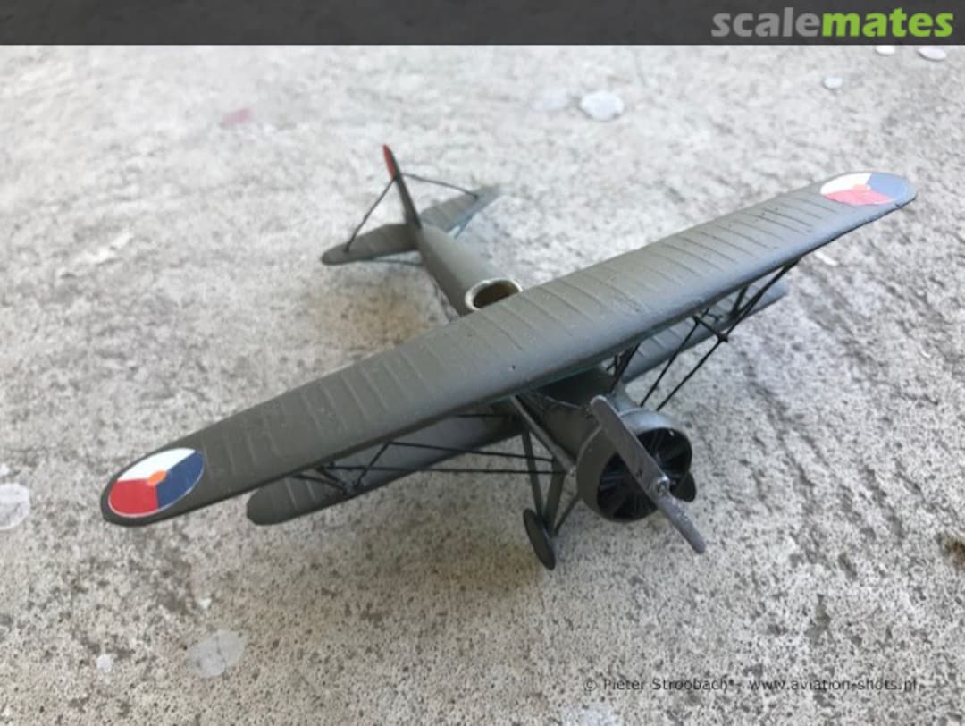 View album, image #1 View album, image #1