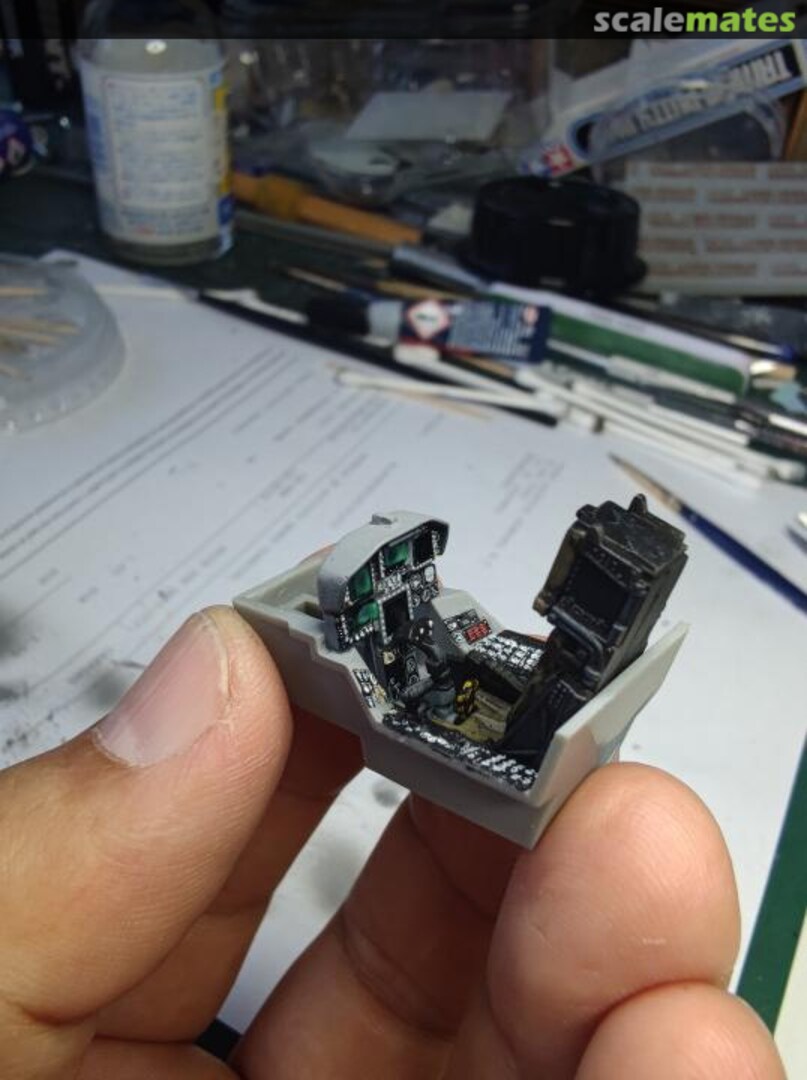 View album, image #1 View album, image #1