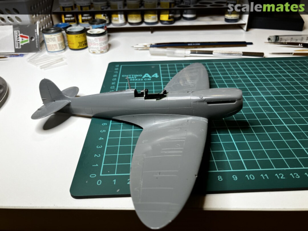 View album, image #2 View album, image #2