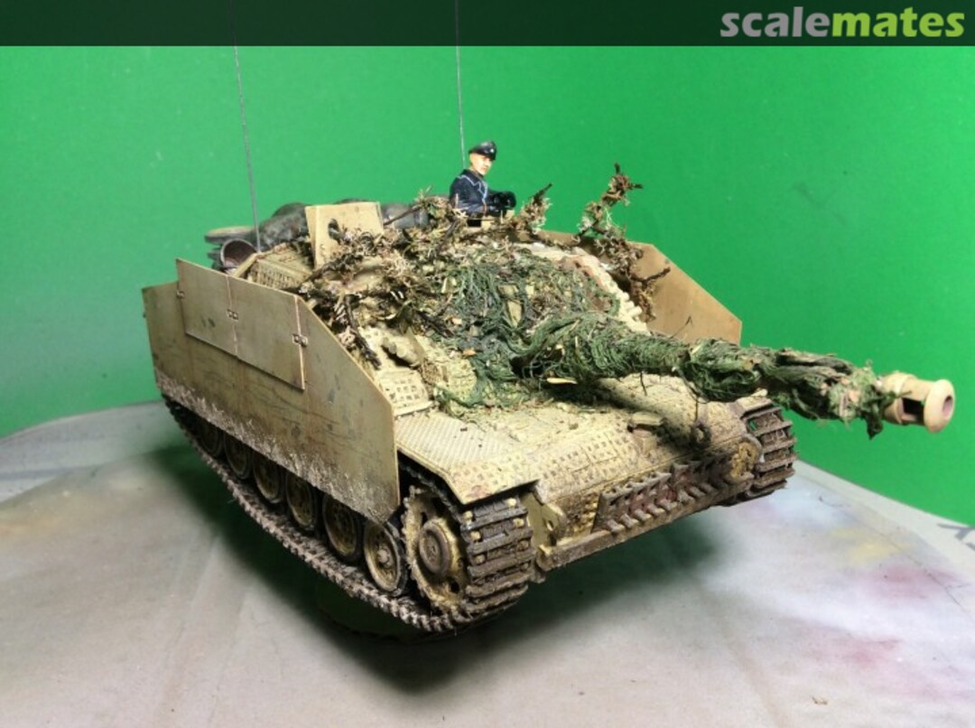 View album, image #1 View album, image #1