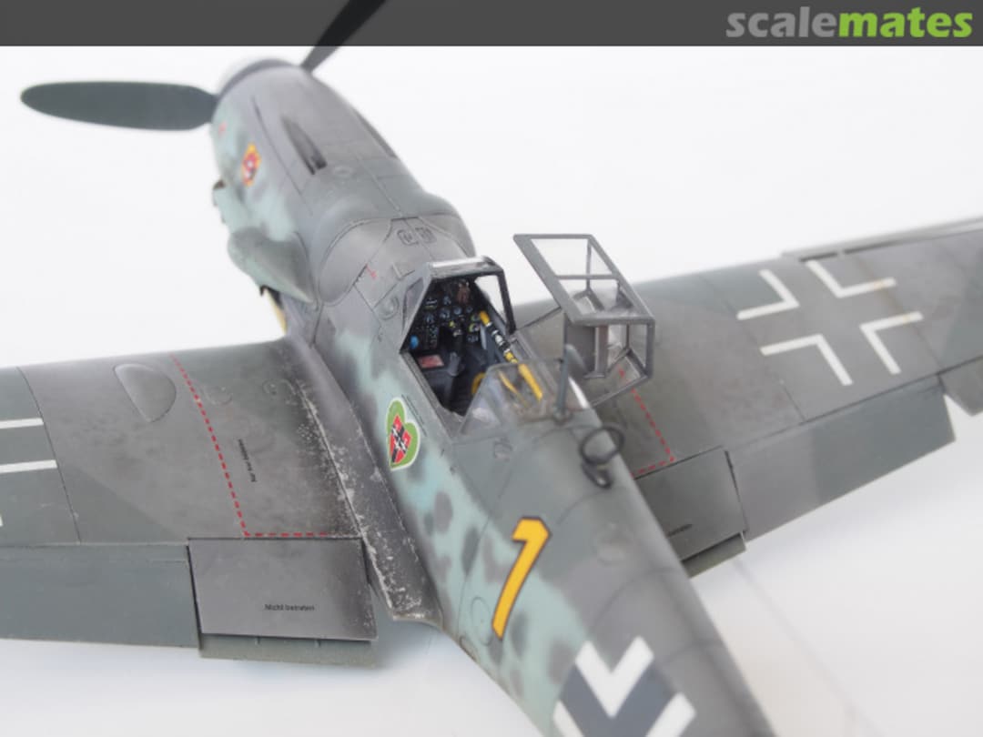 View album, image #3 View album, image #3