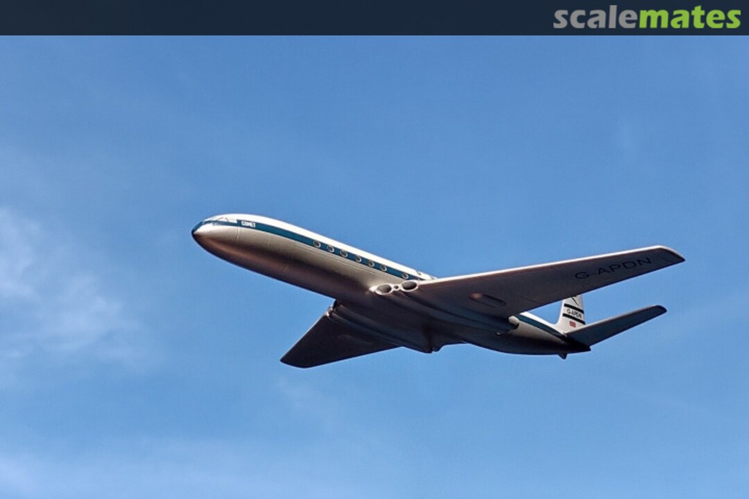 View album, image #50 View album, image #50