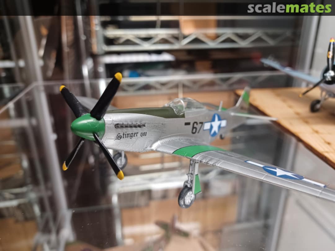 View album, image #9 View album, image #9