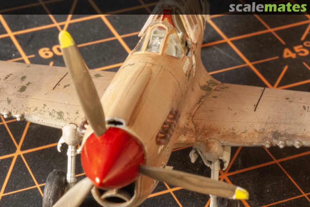 View album, image #9 View album, image #9