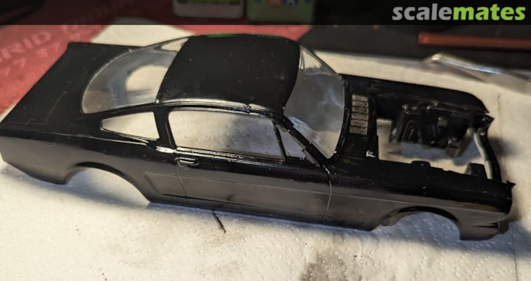 View album, image #4 View album, image #4