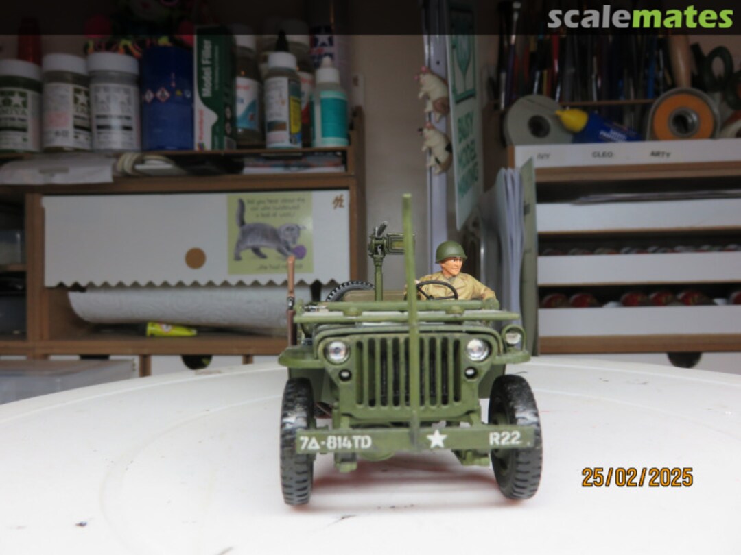 View album, image #1 View album, image #1