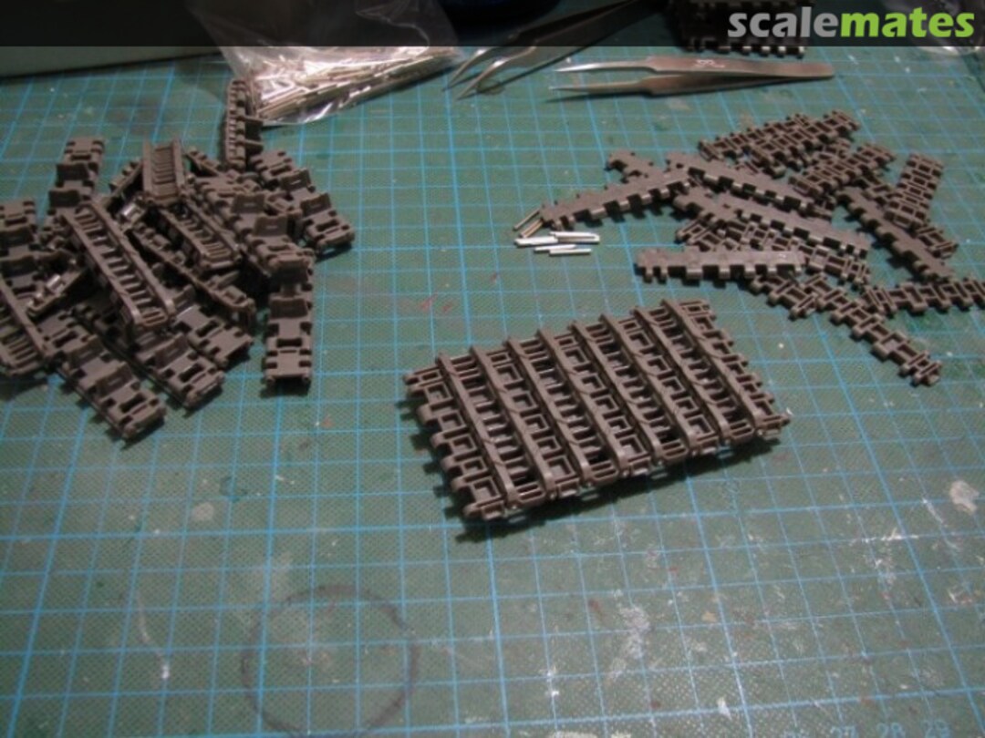 View album, image #1 View album, image #1