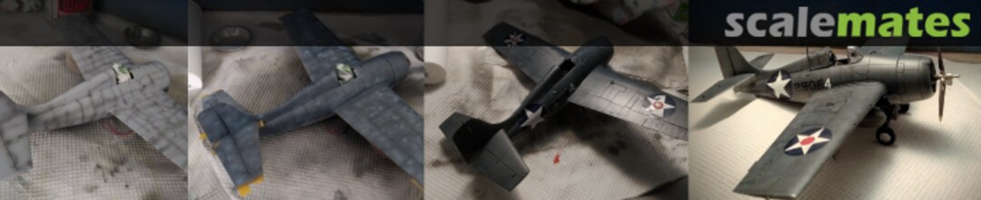 View album, image #1 View album, image #1