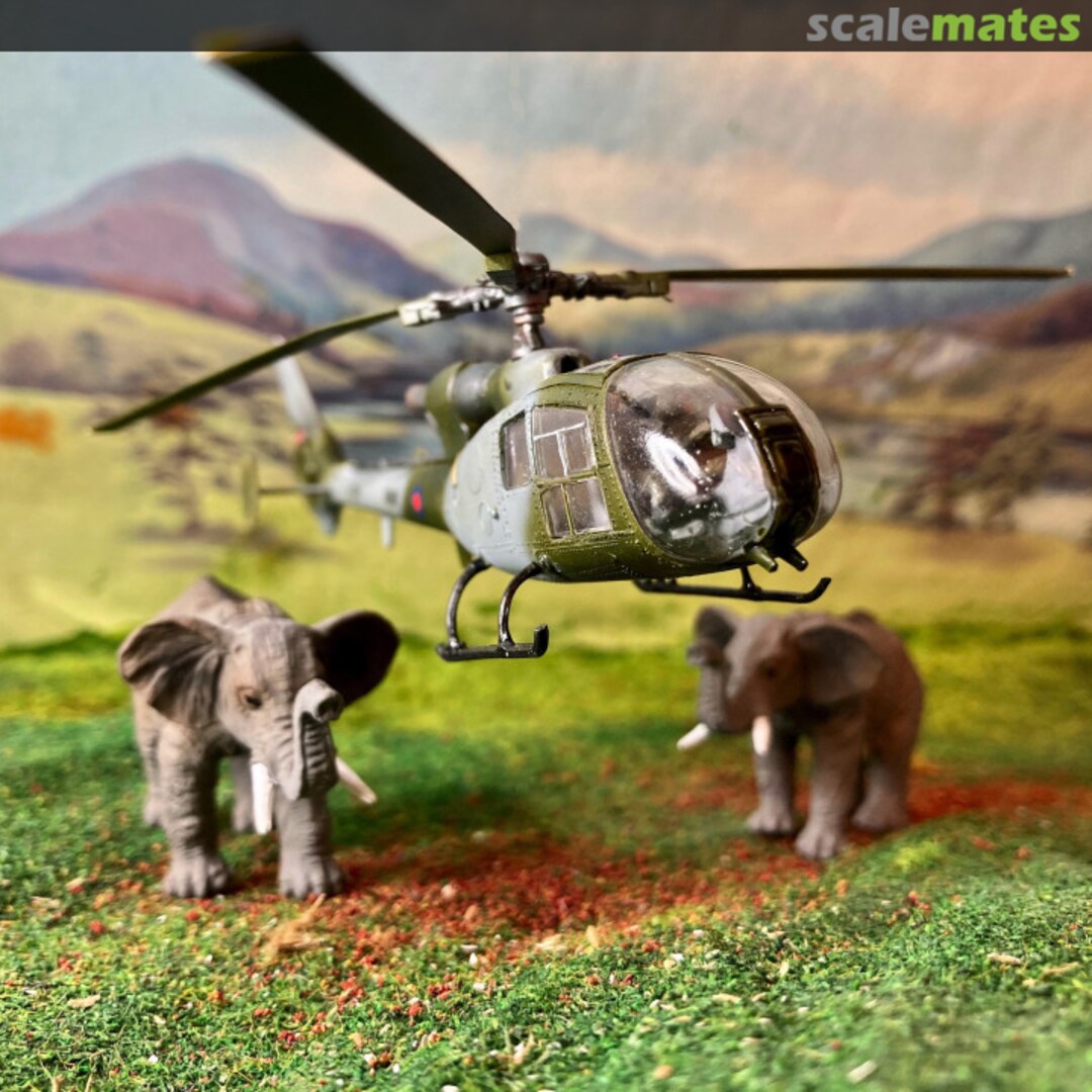 View album, image #16 View album, image #16