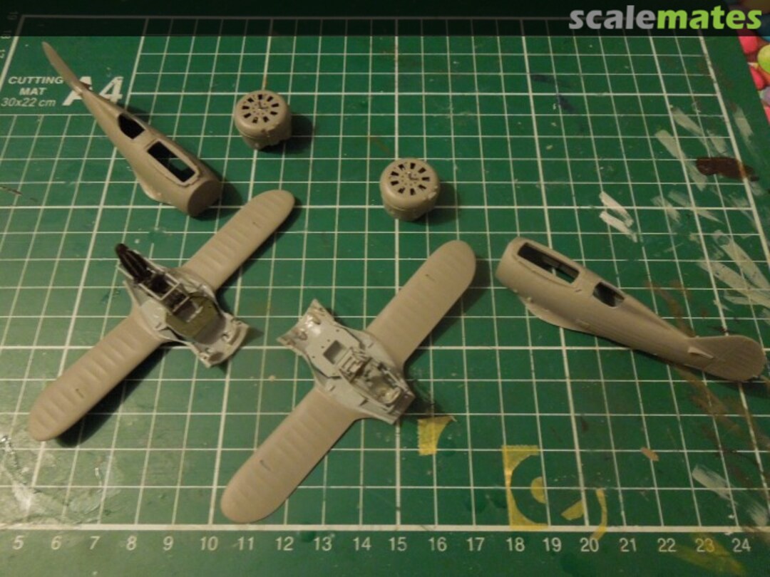 View album, image #1 View album, image #1