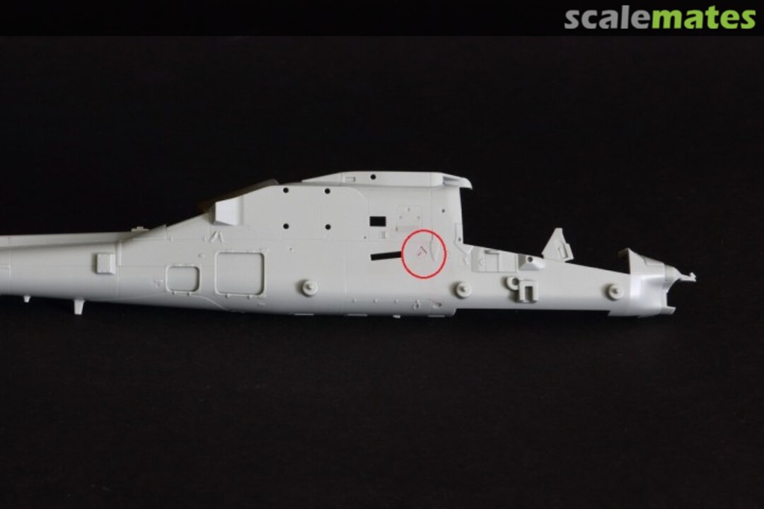 View album, image #1 View album, image #1