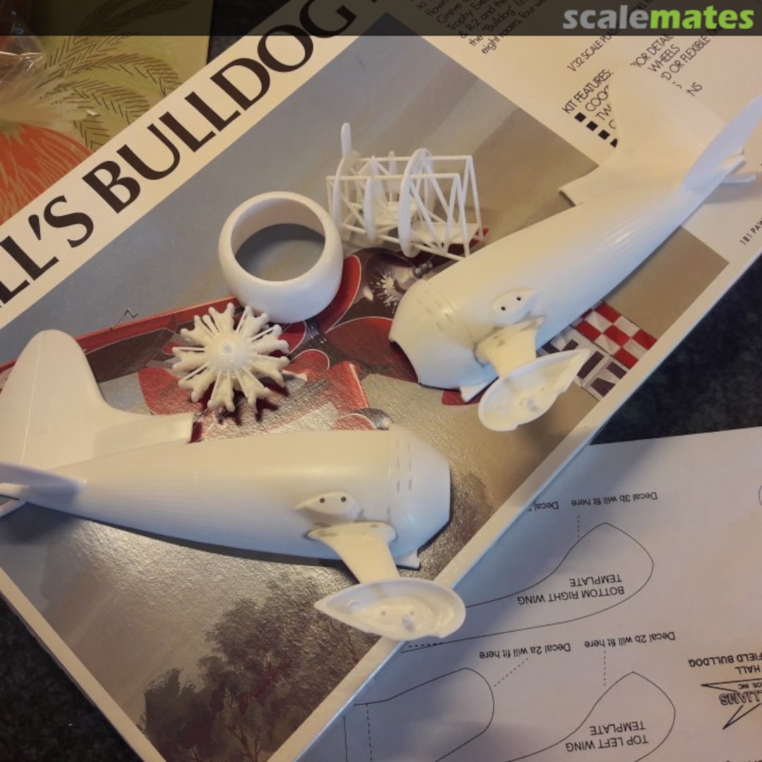 View album, image #1 View album, image #1