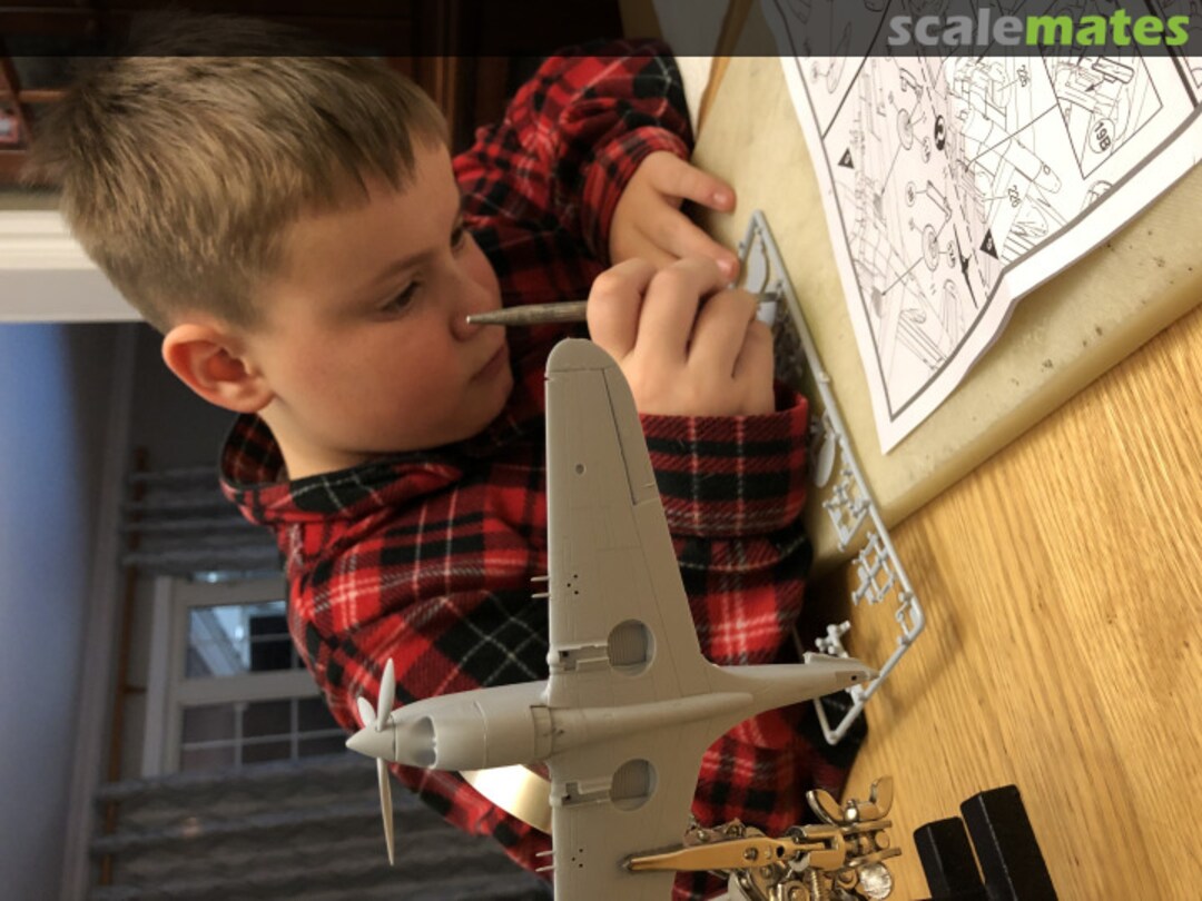 View album, image #1