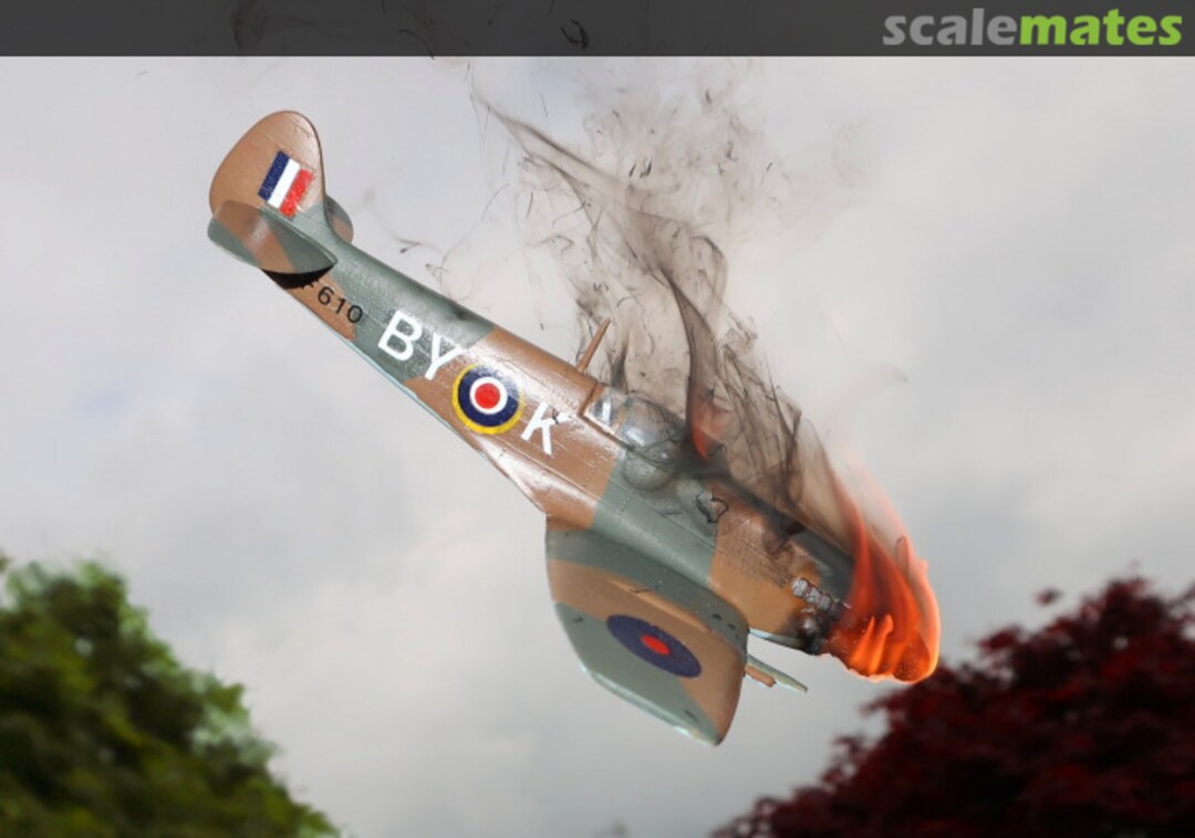 View album, image #4 View album, image #4