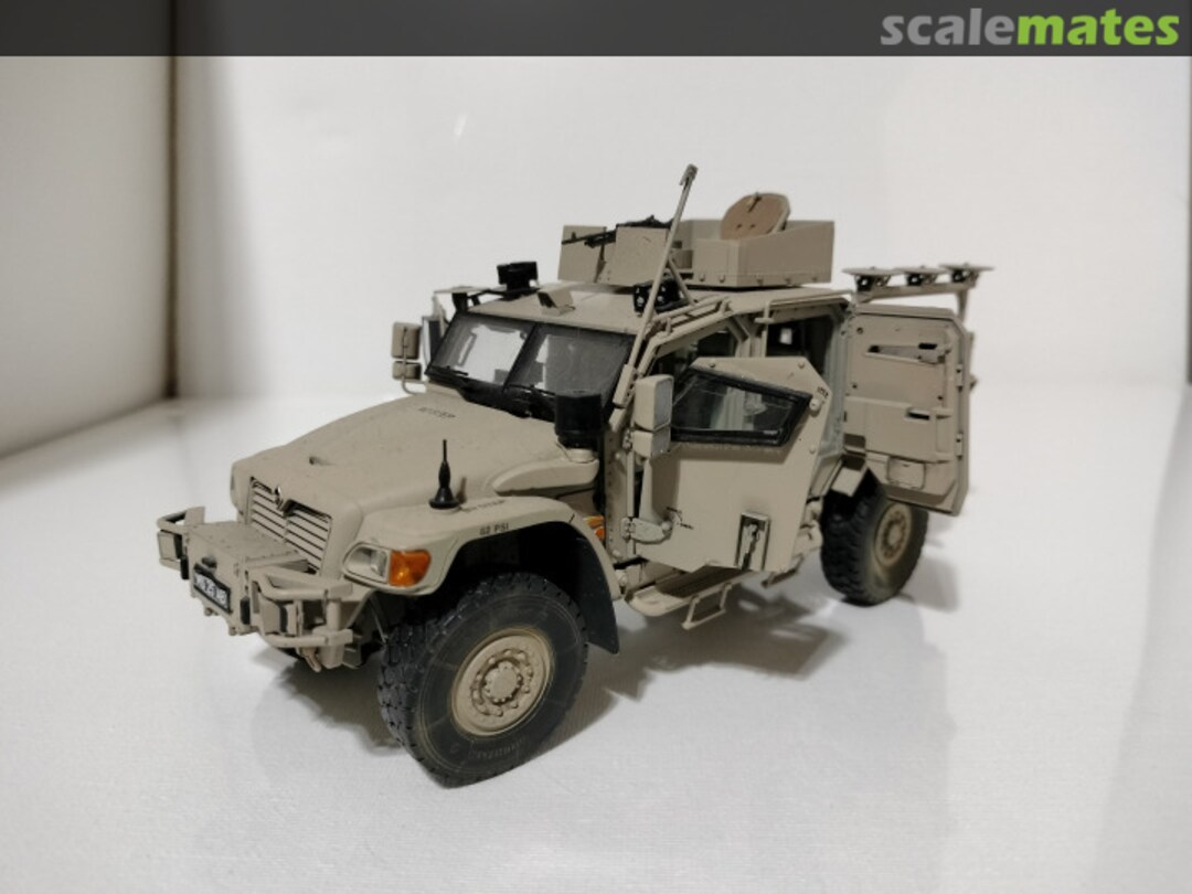 View album, image #2 View album, image #2