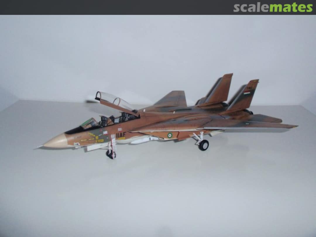 View album, image #1