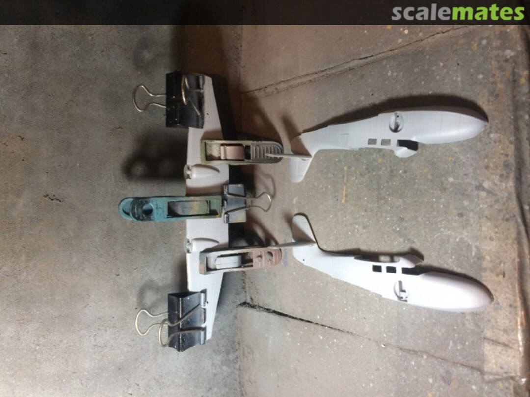 View album, image #1 View album, image #1