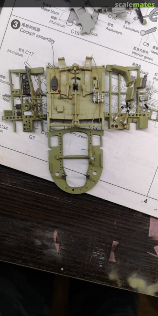 View album, image #3 View album, image #3