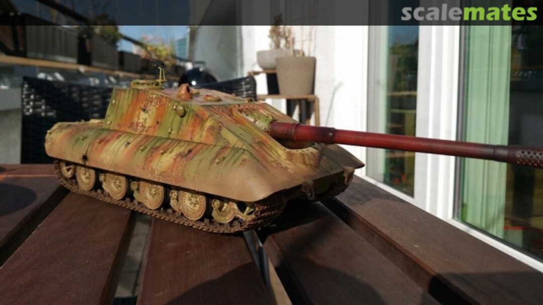 View album, image #1 View album, image #1