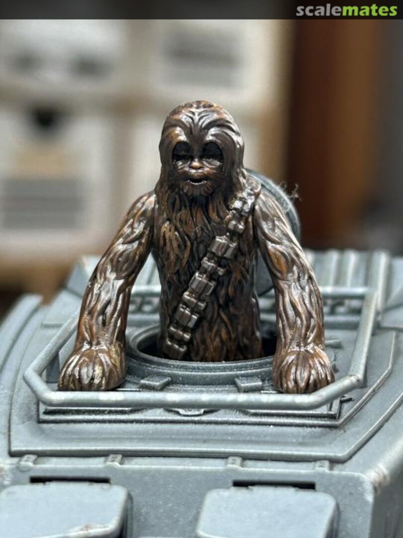 View album, image #35 View album, image #35